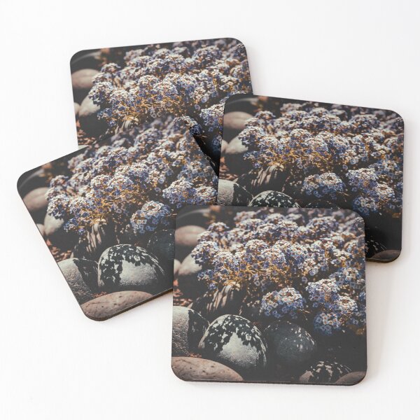 Item preview, Sweet Alyssum designed and sold by HoneyHuesPhotos.