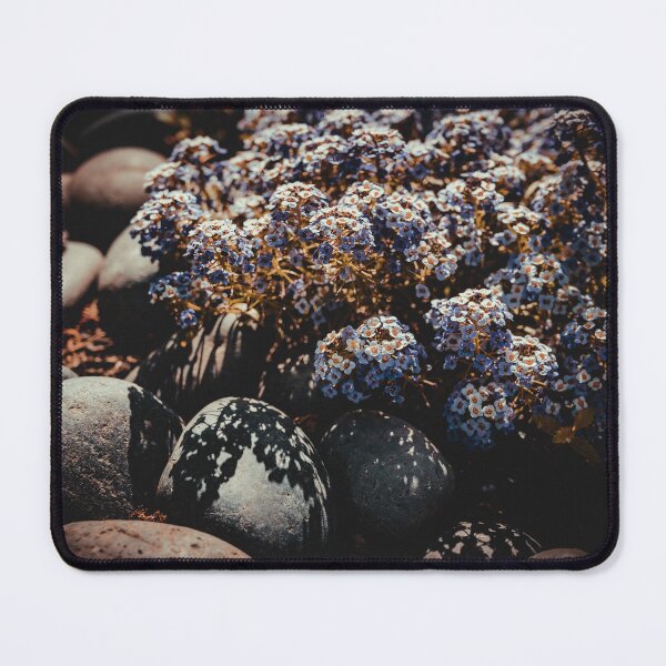 Item preview, Sweet Alyssum designed and sold by HoneyHuesPhotos.