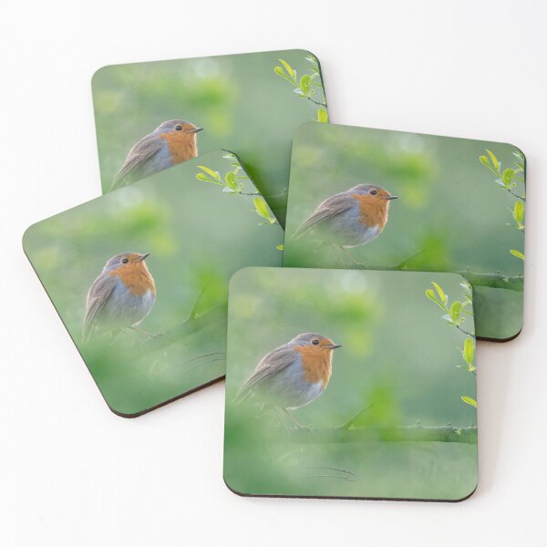 Item preview, The European robin (Erithacus rubecula) designed and sold by Piotr Front.