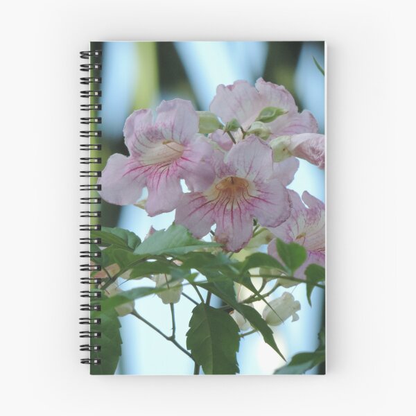 Item preview, Pink flowering vine designed and sold by Jmb67.