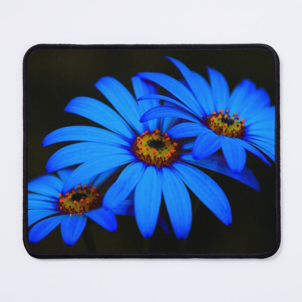 Item preview, Neon Daisy Dreams designed and sold by JEZ22.