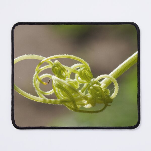 Item preview, Woven Plant designed and sold by ptosis.
