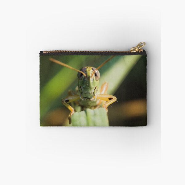 Item preview, Spur-throated Grasshopper designed and sold by ptosis.