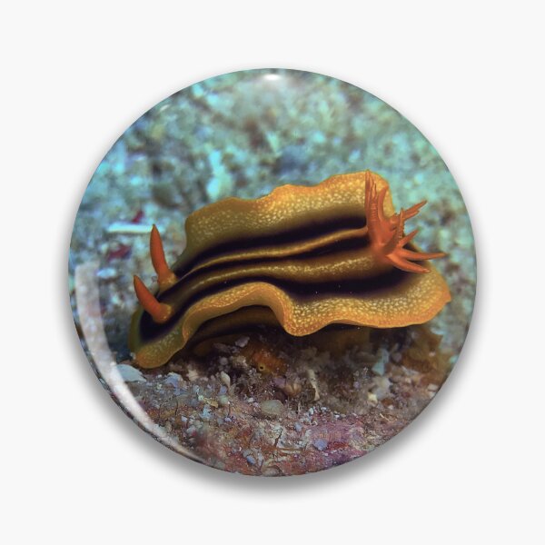 Item preview, Chromodoris joshi  designed and sold by likbatonboot.