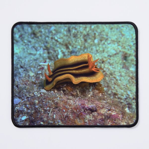 Item preview, Chromodoris joshi  designed and sold by likbatonboot.