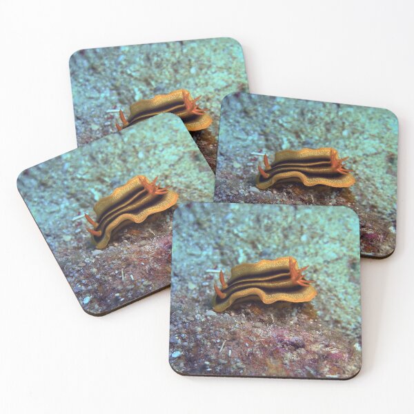 Item preview, Chromodoris joshi  designed and sold by likbatonboot.