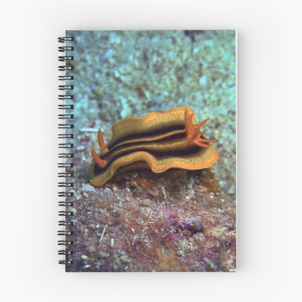 Item preview, Chromodoris joshi  designed and sold by likbatonboot.