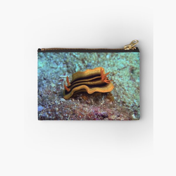 Item preview, Chromodoris joshi  designed and sold by likbatonboot.