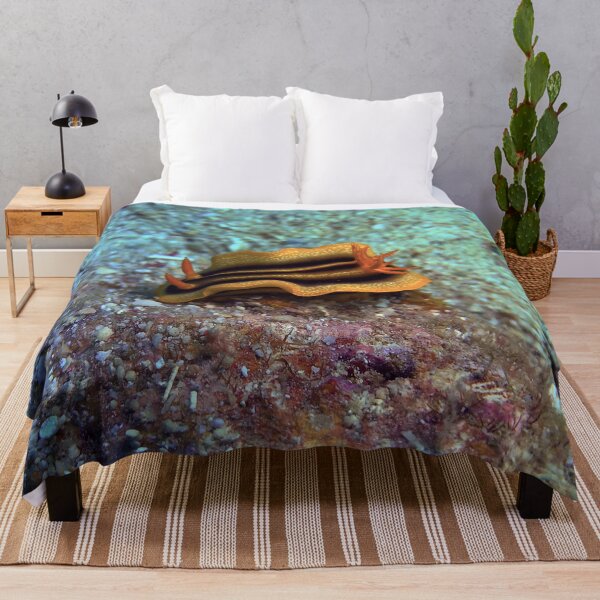 Item preview, Chromodoris joshi  designed and sold by likbatonboot.