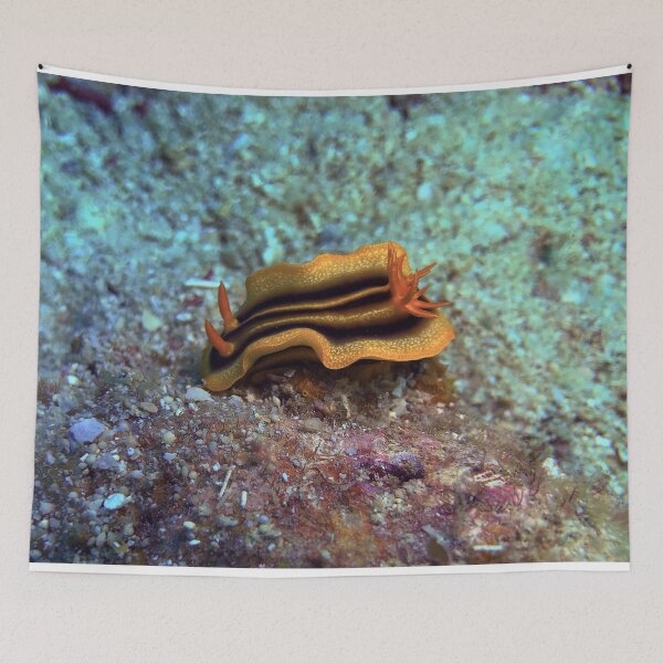 Item preview, Chromodoris joshi  designed and sold by likbatonboot.