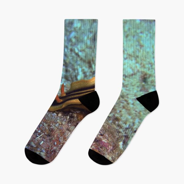 Item preview, Chromodoris joshi  designed and sold by likbatonboot.