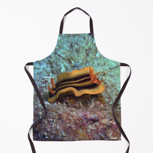 Item preview, Chromodoris joshi designed and sold by likbatonboot.