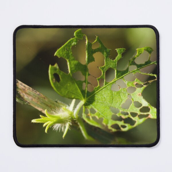 Item preview, Leaf Cutting Pattern designed and sold by ptosis.