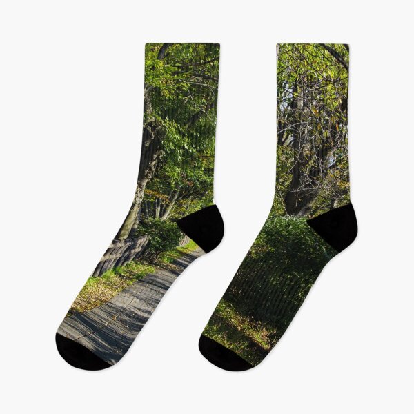 Item preview, Shaded path in a park designed and sold by Shizenkai.