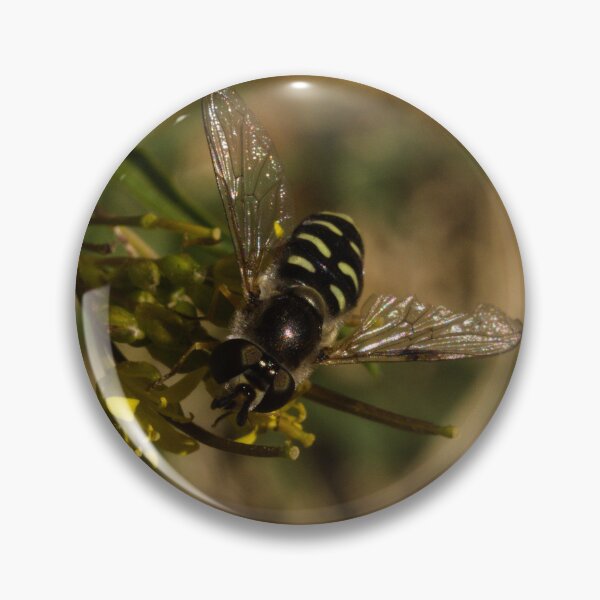 Item preview, Large-tailed Aphideater designed and sold by ptosis.