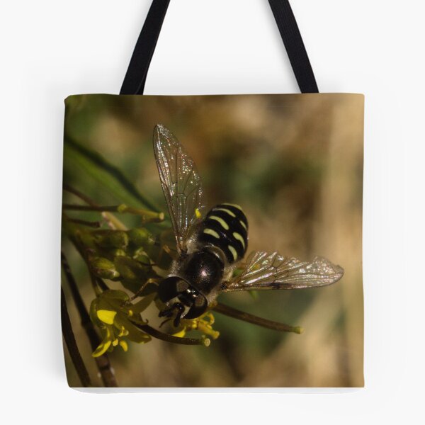 Item preview, Large-tailed Aphideater designed and sold by ptosis.