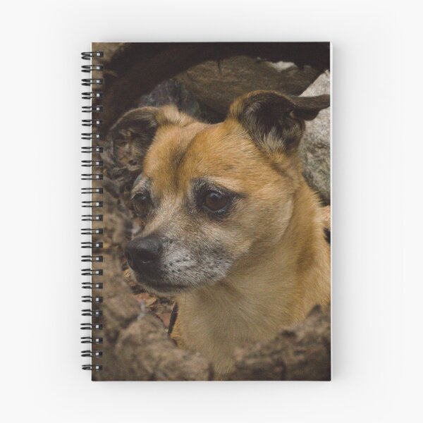 Item preview, Chug Framed within a Tree Wood Knot Hole designed and sold by ptosis.