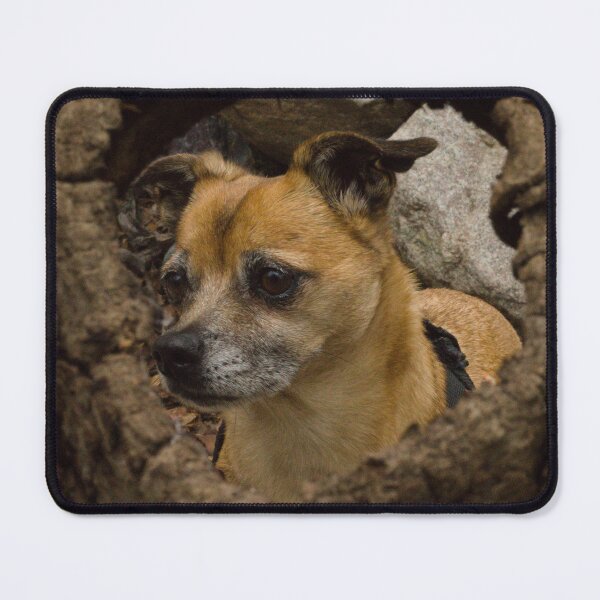 Item preview, Chug Framed within a Tree Wood Knot Hole designed and sold by ptosis.