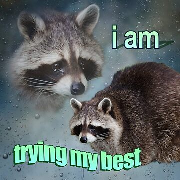 Artwork thumbnail, I am trying my best raccoon word art meme by snazzyseagull