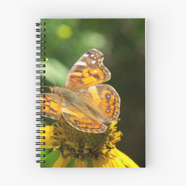 Item preview, 534 American Lady Butterfly designed and sold by ptosis.