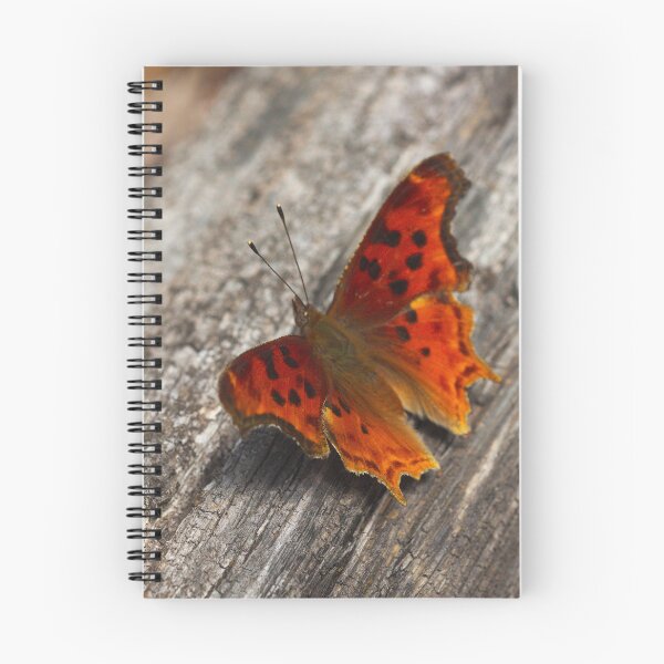 Item preview, 533 Satyr Comma Butterfly designed and sold by ptosis.