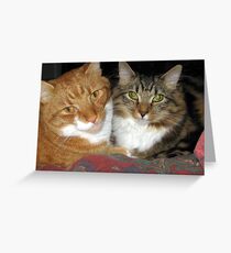 73 - MAO & MITCH CUDDLED TOGETHER (D.E. 2009) Greeting Card