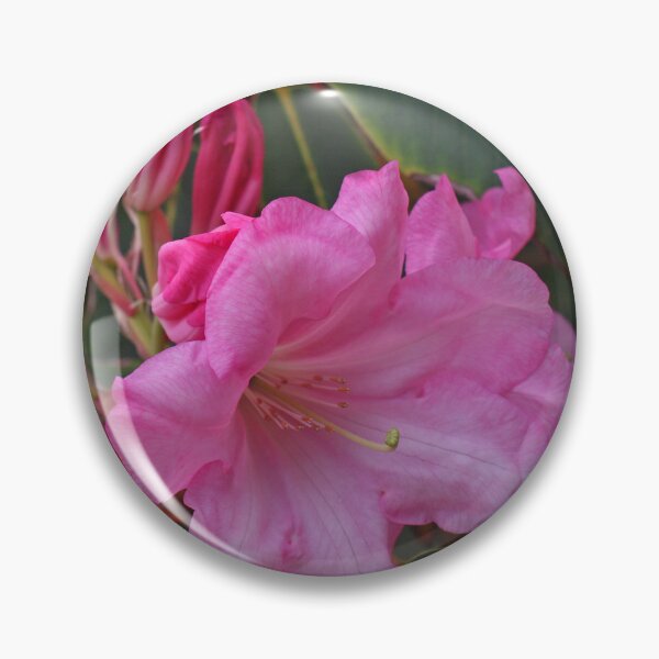 Item preview, Pink Azalea, May 2023 designed and sold by RedHillDigital.
