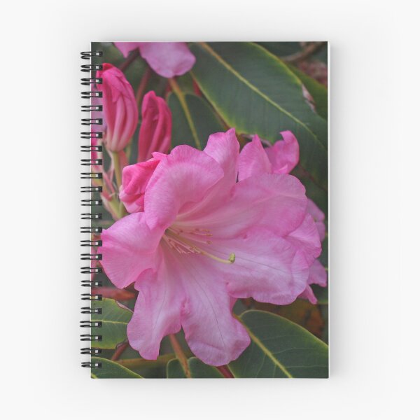 Item preview, Pink Azalea, May 2023 designed and sold by RedHillDigital.
