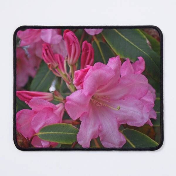 Item preview, Pink Azalea, May 2023 designed and sold by RedHillDigital.