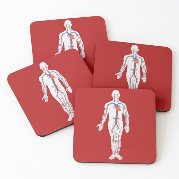 Aperçu de l'œuvre Système circulatoire Anatomie médicale Artères Veines créée et vendue par VintageMashup.