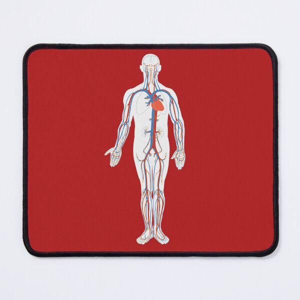 Item preview, Circulatory System Medical Anatomy Arteries Veins designed and sold by VintageMashup.