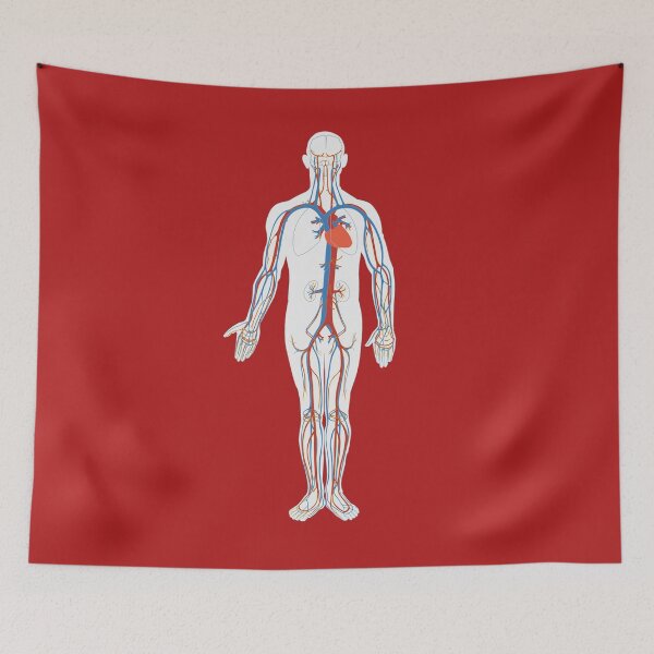 Item preview, Circulatory System Medical Anatomy Arteries Veins designed and sold by Vintagemashup.