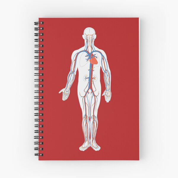 Item preview, Circulatory System Medical Anatomy Arteries Veins designed and sold by VintageMashup.