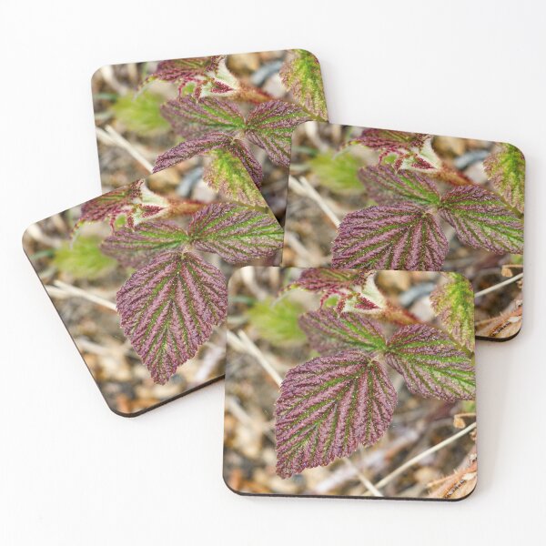 Item preview, Leaves on a mountain top designed and sold by Shizenkai.