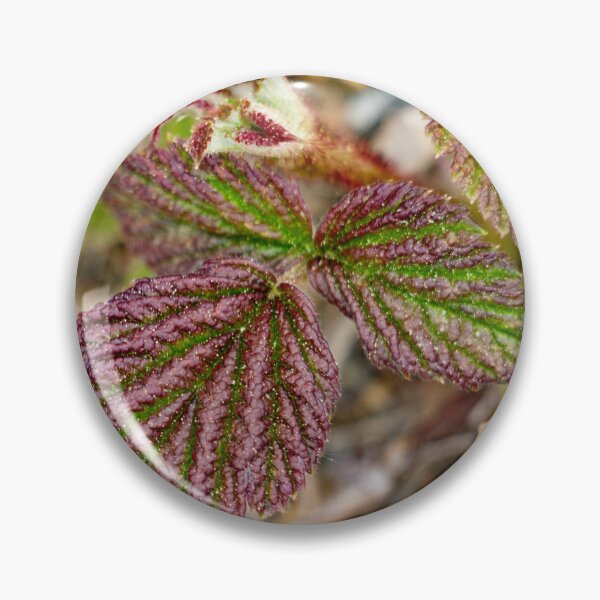 Item preview, Leaves on a mountain top designed and sold by Shizenkai.