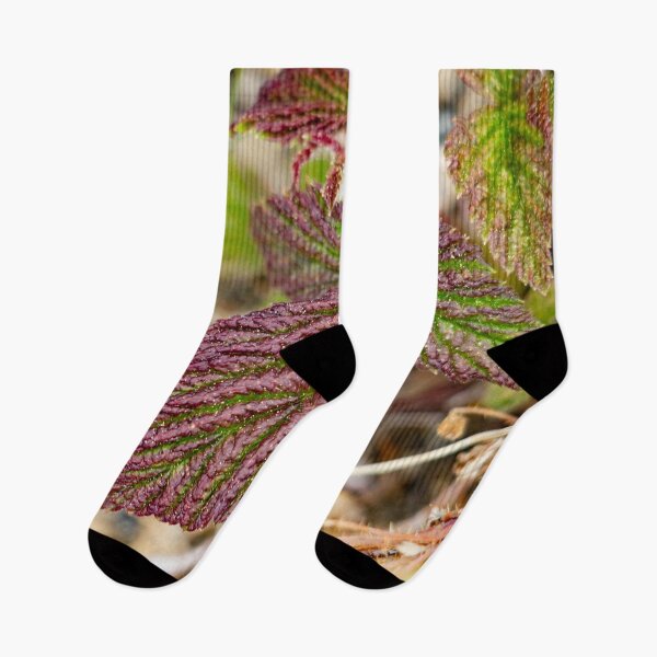 Item preview, Leaves on a mountain top designed and sold by Shizenkai.