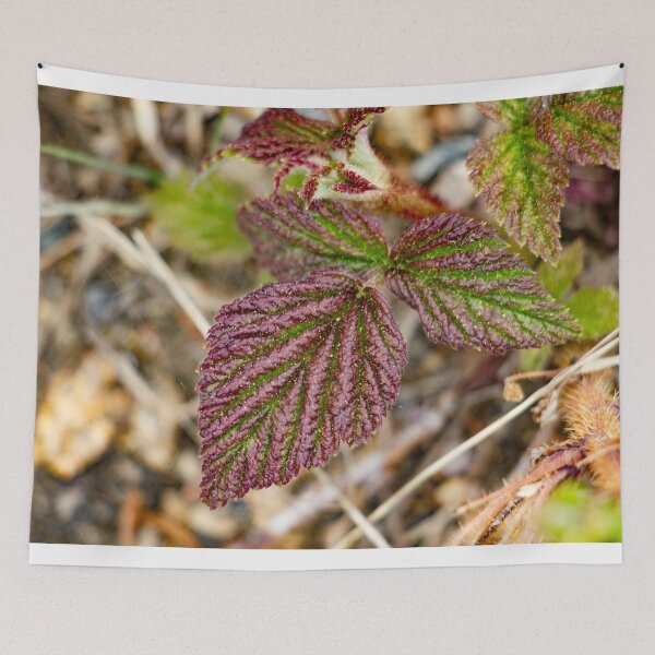 Item preview, Leaves on a mountain top designed and sold by Shizenkai.
