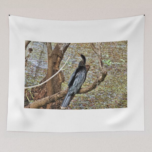 Item preview, Anhinga 2 - Florida designed and sold by jtrommer.