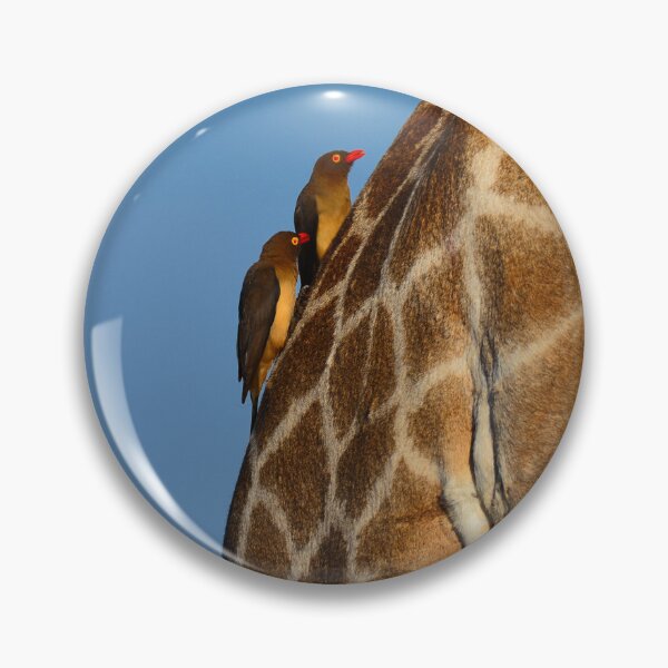 Item preview, Red-billed Oxpeckers on a Giraffe designed and sold by Pedro-Carrilho.