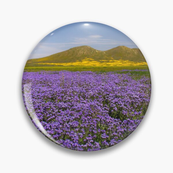 Item preview, Carrizo Plains in the Super Bloom designed and sold by Alla Gill.