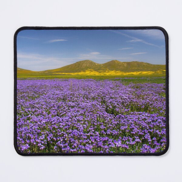 Item preview, Carrizo Plains in the Super Bloom designed and sold by Alla Gill.