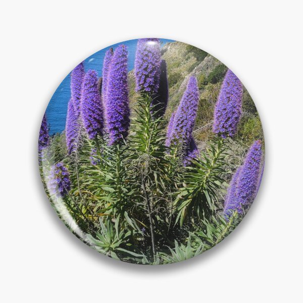 Item preview, Pride Of Madeira Bloom designed and sold by Alla Gill.