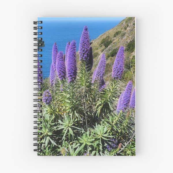 Item preview, Pride Of Madeira Bloom designed and sold by Alla Gill.