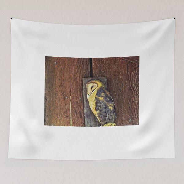 Item preview, Barn Owl 1 - Washington State designed and sold by jtrommer.