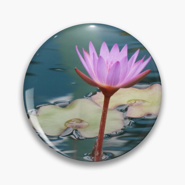 Item preview, Beautiful Lotus Flower in Pond designed and sold by aligata1970.