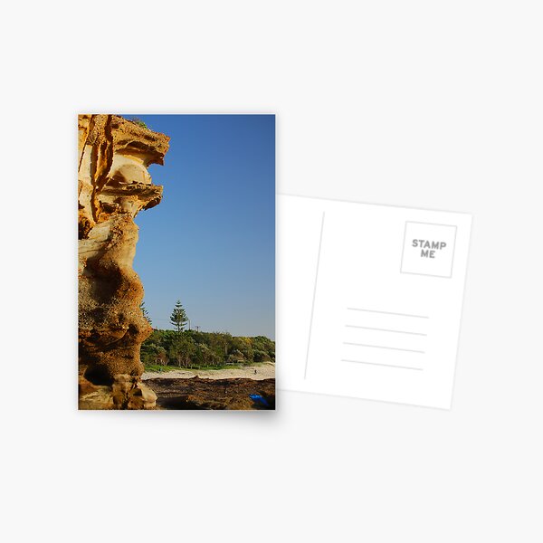 Lone Pine - Caves Beach Postcard