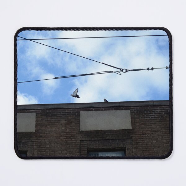 Item preview, Pigeons designed and sold by kry.ative.