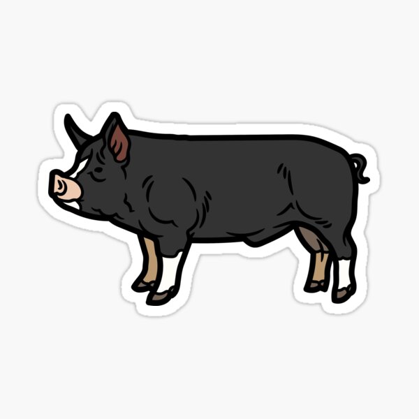 giving gift clipart black and white pig