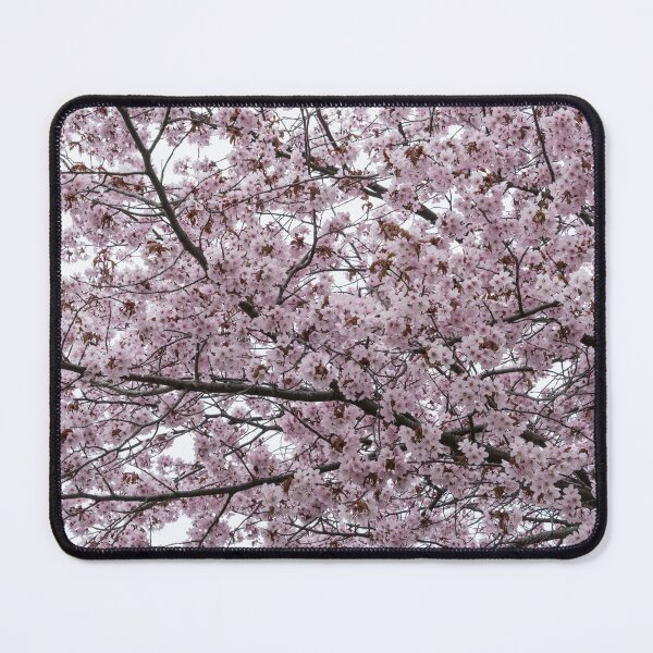 Item preview, Sweet Baby Pink - Blossoming Sakura Cherry Tree designed and sold by Georgia Mizuleva.