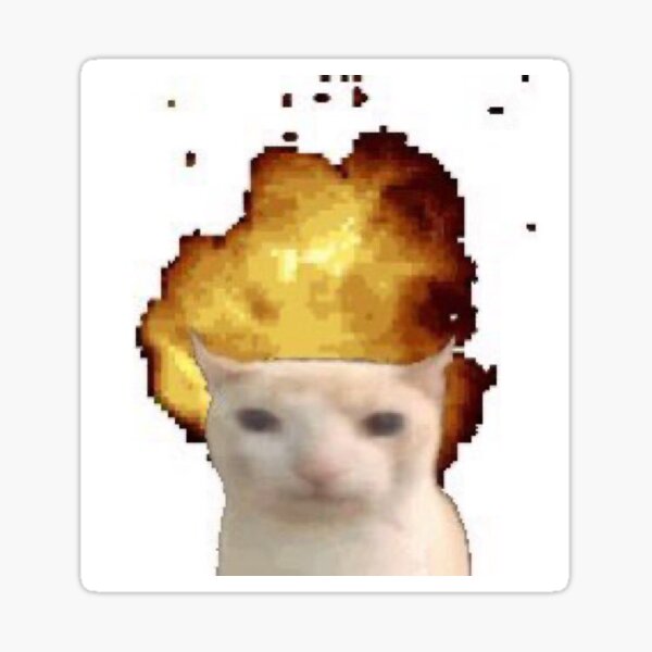 cat with explosion head reaction meme image  Sticker for Sale by  jumpinjanet